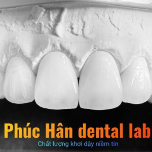 Lab Phúc Hân